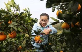 泰木谷富村计划——走进寿宁