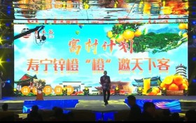 泰木谷：以文化共识为初心“泰木谷人”践行社会责任的电商生态