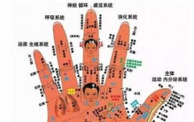 如何读懂手掌上的5个诊病区